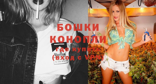 молекула духа Бронницы