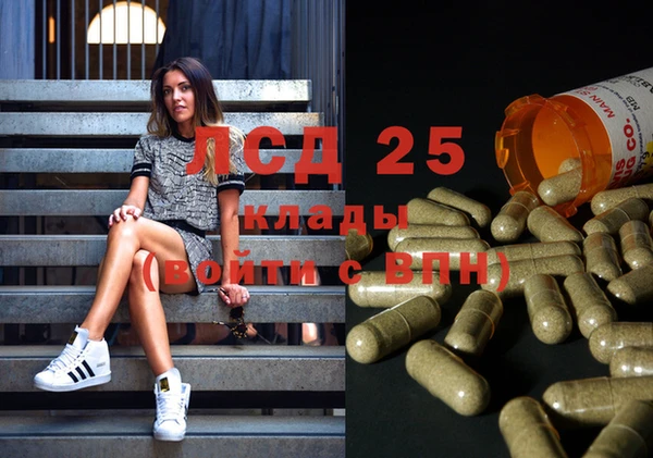 стаф Бугульма