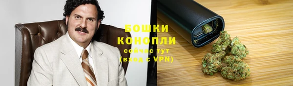 СК Бородино