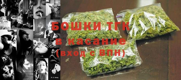 молекула духа Бронницы