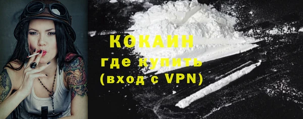 молекула духа Бронницы