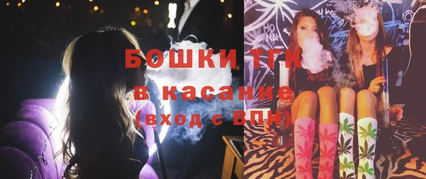 СК Бородино