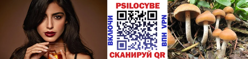 наркота Кологрив Псилоцибиновые грибы мухоморы